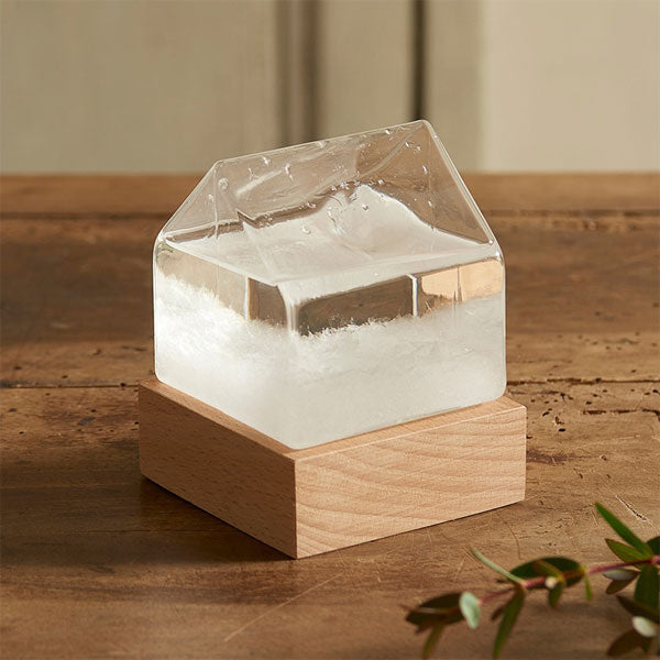 (1/9園田)《Fun Science》ストームグラス ハウス 茶谷産業 333411