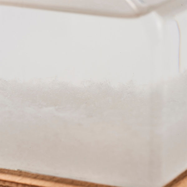 (1/9園田)《Fun Science》ストームグラス ハウス 茶谷産業 333411