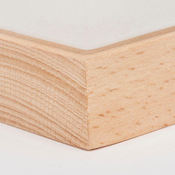 (1/9園田)《Fun Science》ストームグラス ハウス 茶谷産業 333411