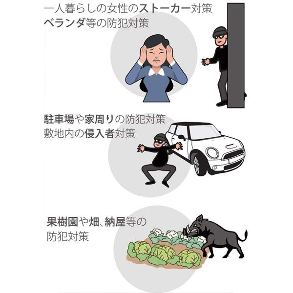 *1/21原田*液晶画面付き SDカード録画式センサーカメラ ナカバヤシ SD3000LCD 【送料無料*】