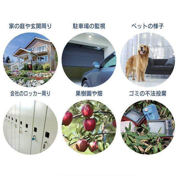 *1/21原田*液晶画面付き SDカード録画式センサーカメラ ナカバヤシ SD3000LCD 【送料無料*】