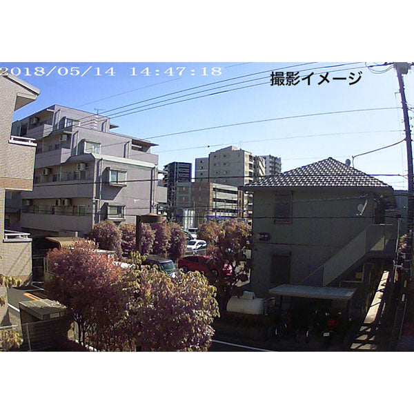 *1/21原田*センサーカメラ1010 ナカバヤシ SD1010 【送料無料*】