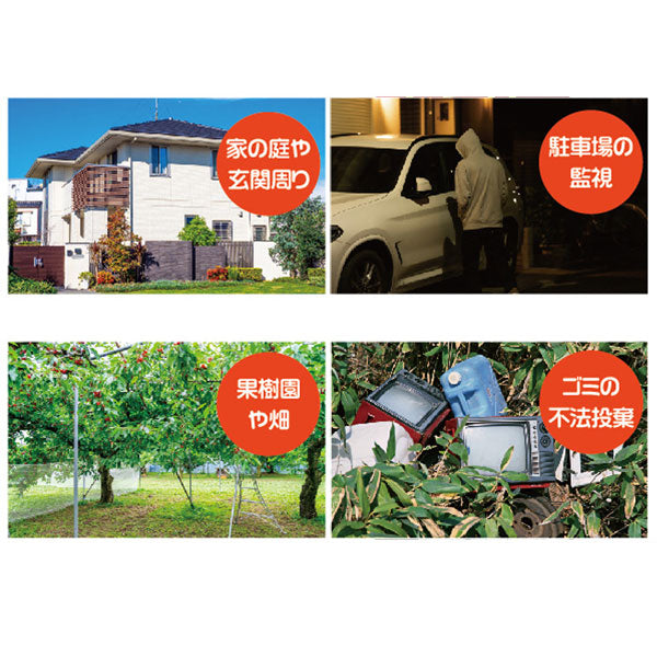 *1/21原田*センサーカメラ1010 ナカバヤシ SD1010 【送料無料*】