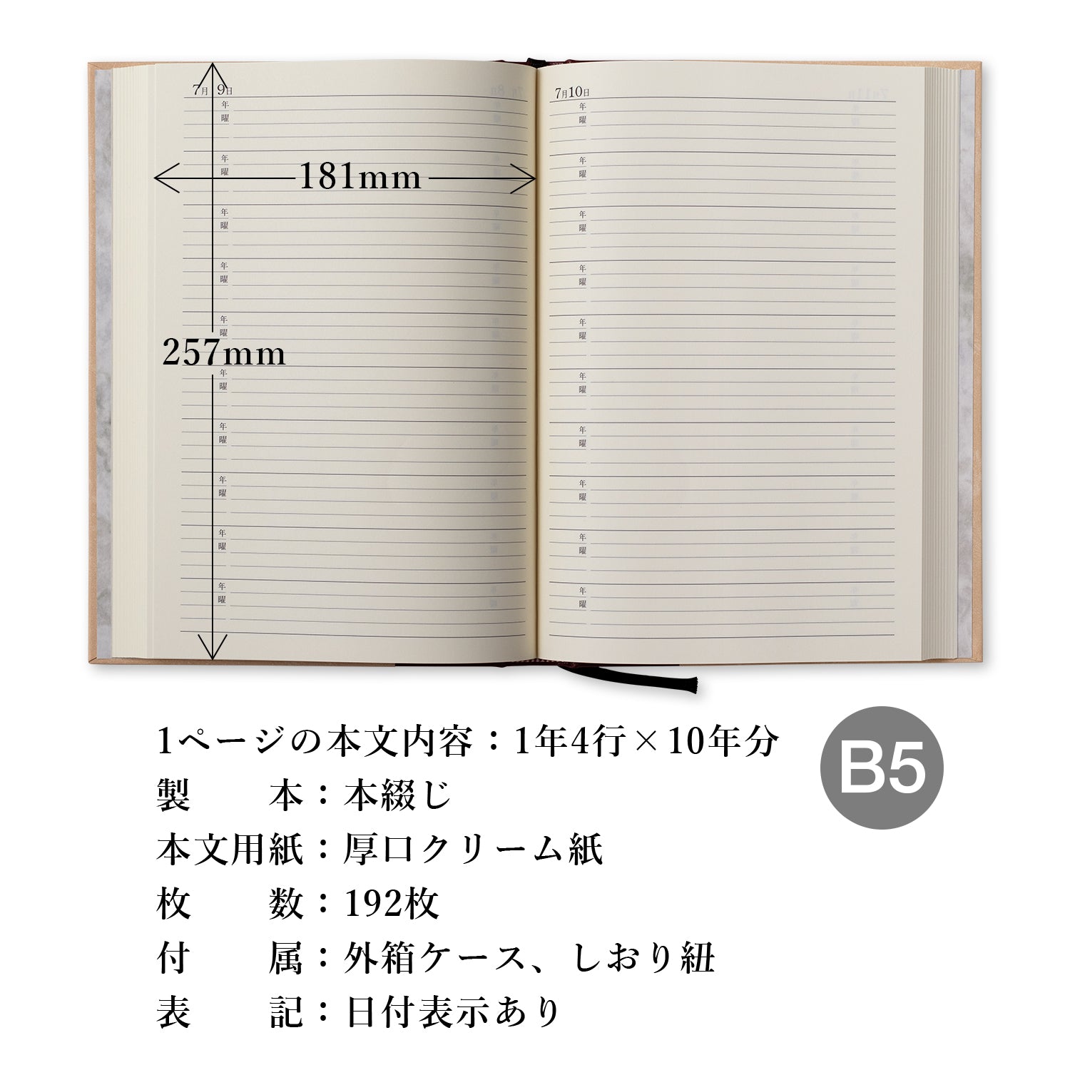 10年用日記《日付表示あり》B5 アピカ D313