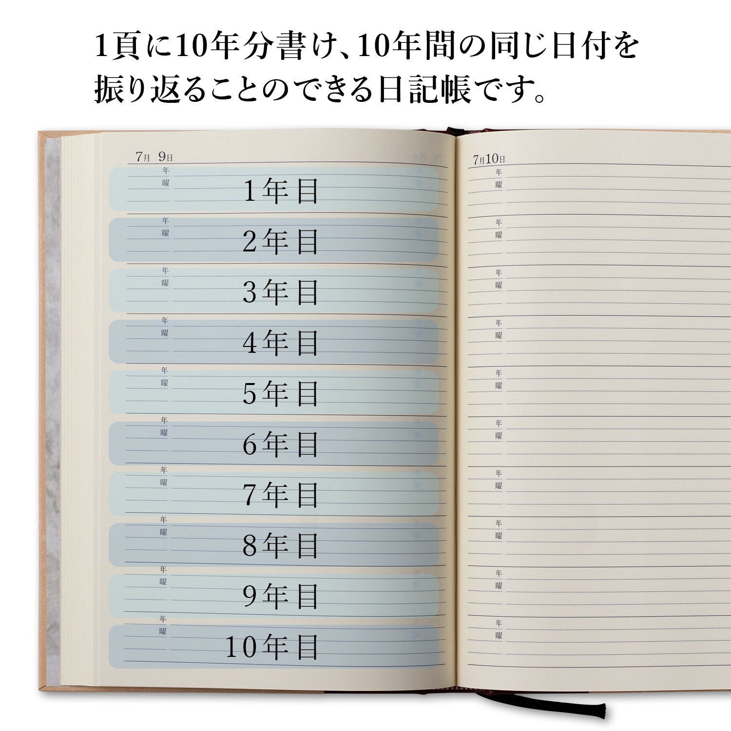 10年用日記《日付表示あり》B5 アピカ D313