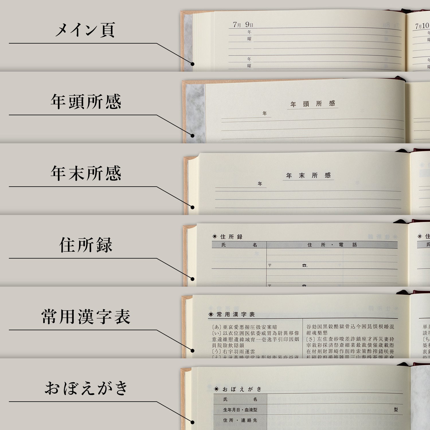 10年用日記《日付表示あり》B5 アピカ D313