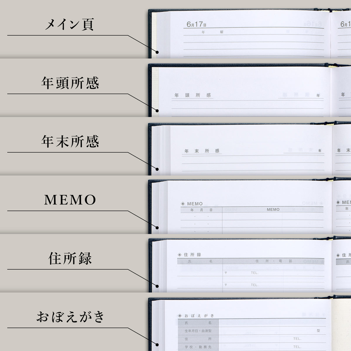 5年用日記《日付表示あり》A5 アピカ D304 日記帳