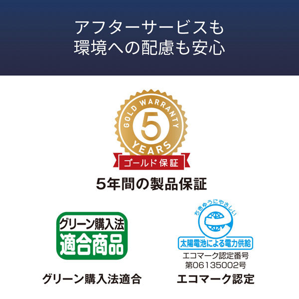 CASIO 実務電卓 (検算)デスクタイプ カシオ計算機 DS-10WKA-N