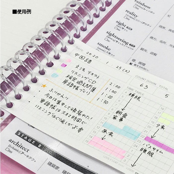 ルーズリーフ タイムプランニング ミニ /50枚 タイムプランニング(表面)/5mm方眼罫(裏面)  maruman L1438