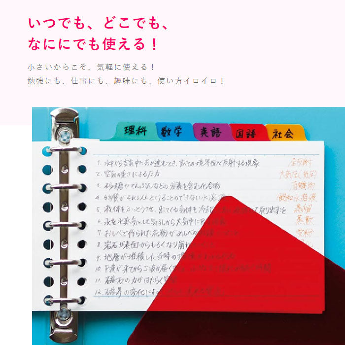 ルーズリーフ ラミネートタブインデックス4山 ミニ maruman LT7004