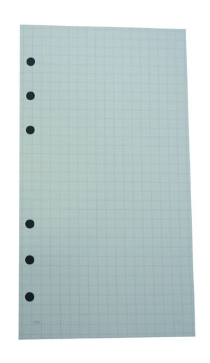 ノーブルリフィル NOBLE REFILL 方眼5mm 100枚 ライフ〔LIFE〕R100