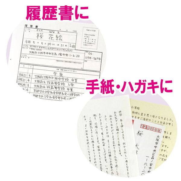 サクラクレパス ピグマ 黒 5本セット (0.05 0.1 0.3 0.5 0.8ミリ) ESDK-5A