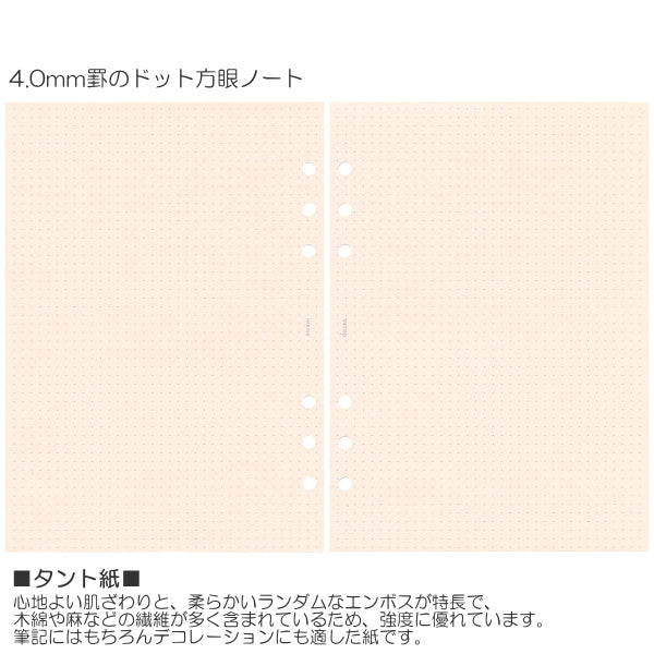 デコナ    システム手帳リフィル/ドット方眼ノート     A5/4.0mm方眼/ タント紙    レイメイ藤井  24-HAR486
