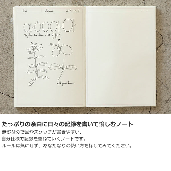 【MDペーパープロダクト】MDノート ジャーナル《A5サイズ》  フレーム罫 デザインフィル/ミドリ 28-15258