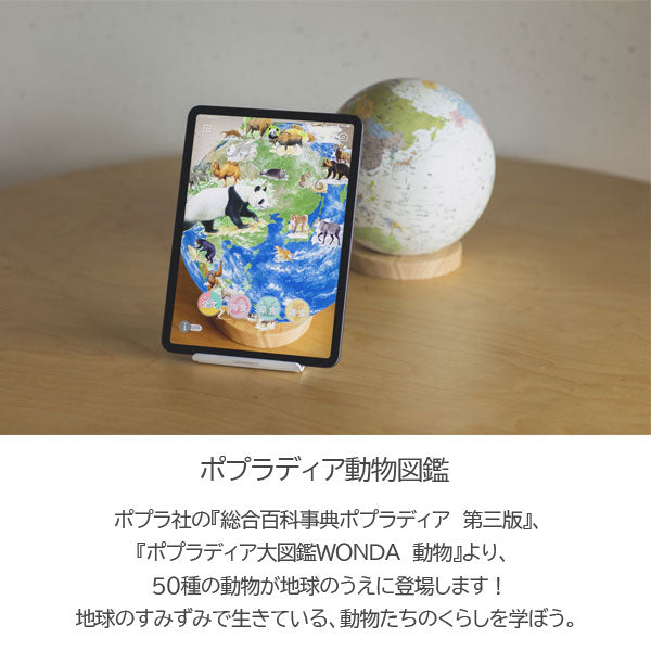 ほぼ日のアースボール JOURNEY 地球儀 リプルーグル(Replogle) 413-46804