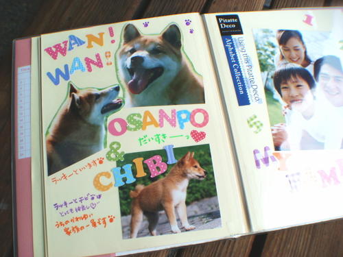 ピタットアルバム パステルSS「パステルブルー」Z&K 60-107