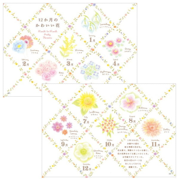 【ネコポス便対応可能商品】色えんぴつで描こう 12か月のかわいいモチーフと花模様  パイインターナショナル 1745-5157