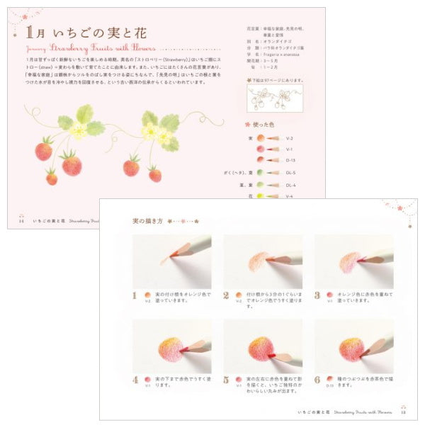 【ネコポス便対応可能商品】色えんぴつで描こう 12か月のかわいいモチーフと花模様  パイインターナショナル 1745-5157