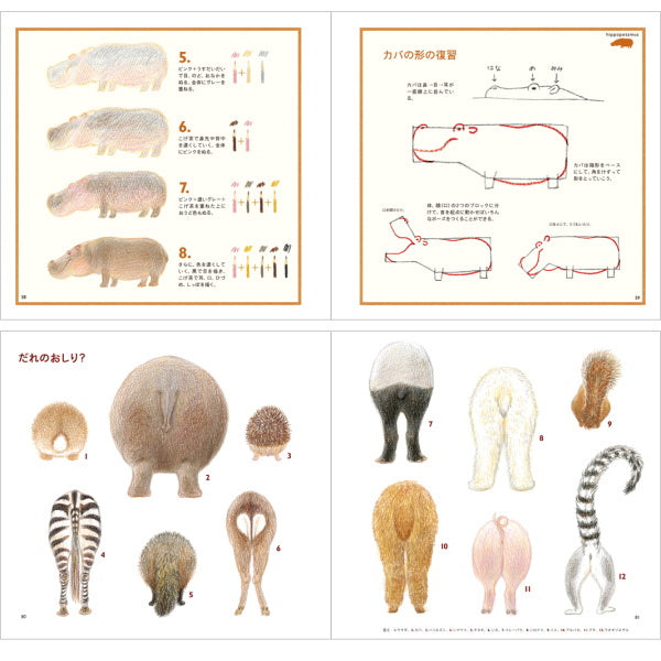 【ネコポス便対応可能商品】色えんぴつでかわいい動物 パイインターナショナル 1745-4068