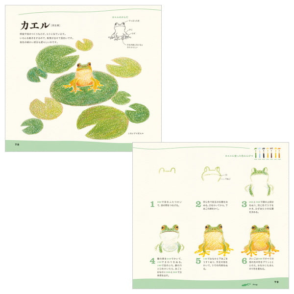 【ネコポス便対応可能商品】色えんぴつでかわいい水の生き物  パイインターナショナル 1745-4377