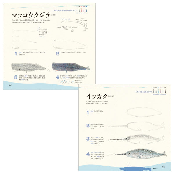 【ネコポス便対応可能商品】色えんぴつでかわいい水の生き物 パイインターナショナル 1745-4377
