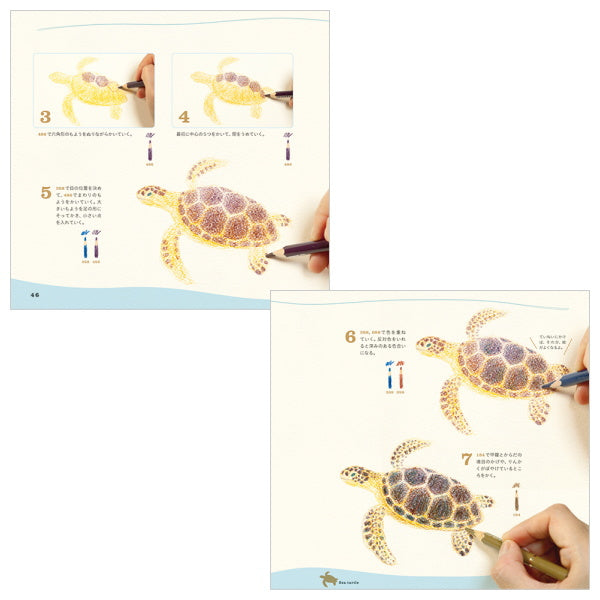 【ネコポス便対応可能商品】色えんぴつでかわいい水の生き物  パイインターナショナル 1745-4377