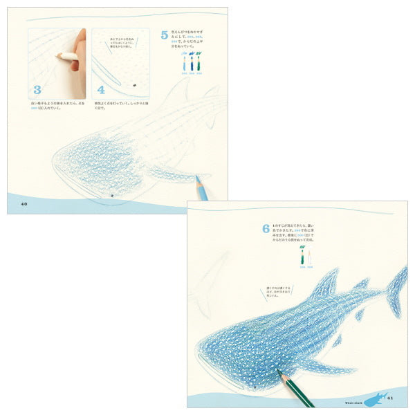 【ネコポス便対応可能商品】色えんぴつでかわいい水の生き物  パイインターナショナル 1745-4377