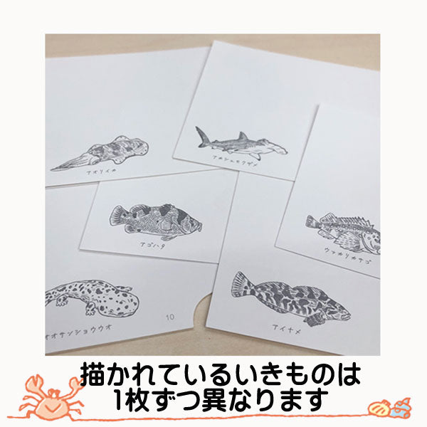 水深MEMO WATER DEPTH MEMO 光 / 深(全2種類) 北星社 SO685/SO686