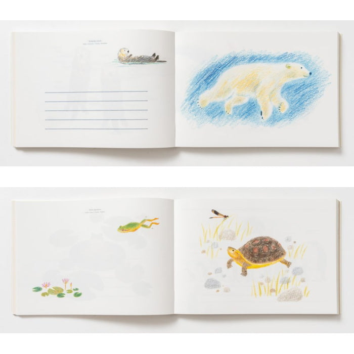 秋草愛の どうぶつ 100枚レターブック  パイインターナショナル  5416 【2冊までネコポス可】