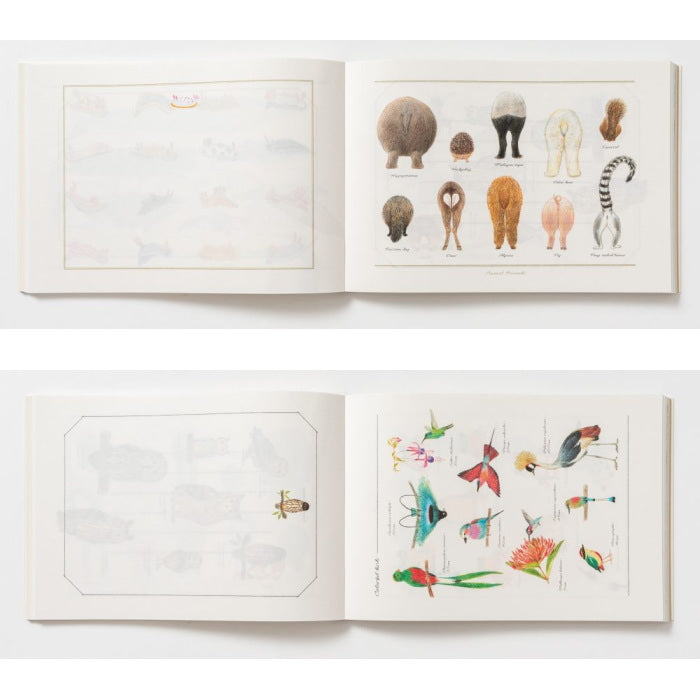 秋草愛の どうぶつ 100枚レターブック  パイインターナショナル  5416 【2冊までネコポス可】