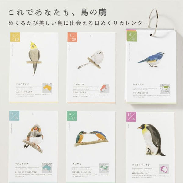 366日の誕生鳥カレンダー -世界の美しい鳥- いろは出版 GTH-01