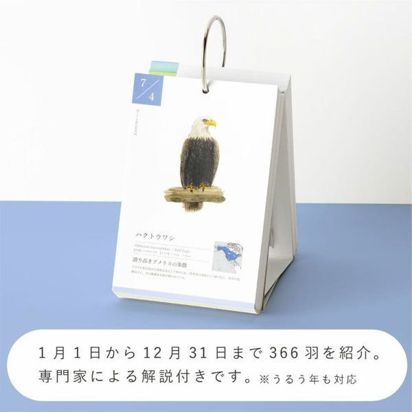 366日の誕生鳥カレンダー -世界の美しい鳥- いろは出版 GTH-01