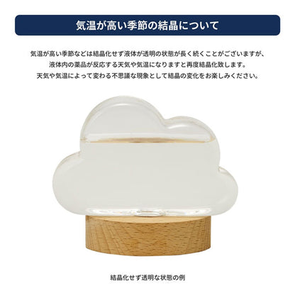 (1/9園田)《Fun Science》ストームグラス クラウド (オーバルスタンド) 茶谷産業 333400