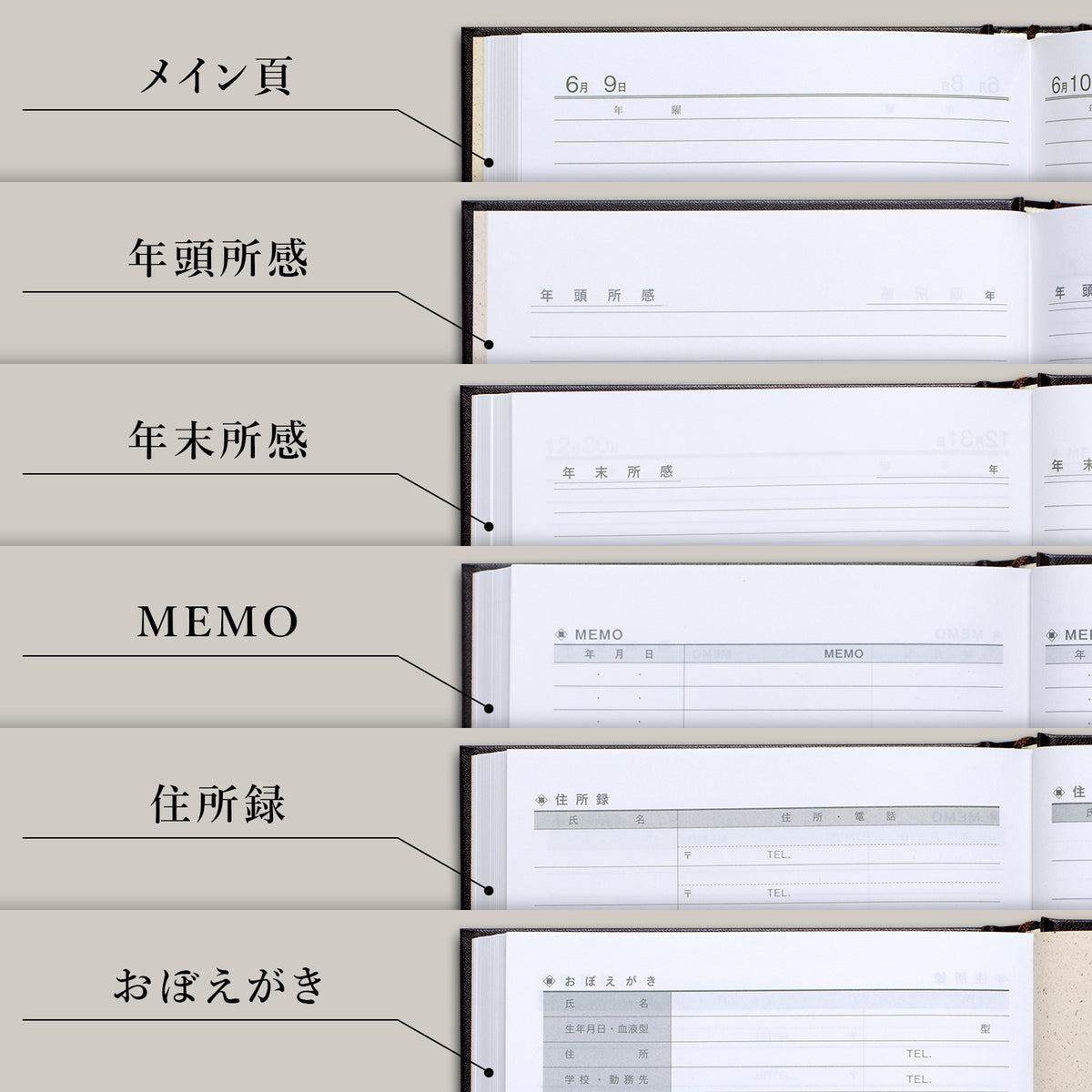 3年用日記《日付表示あり》A5 アピカ D303 日記帳