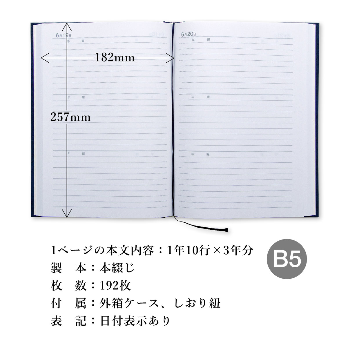 3年用日記《日付表示あり》B5 アピカ　D302 日記帳