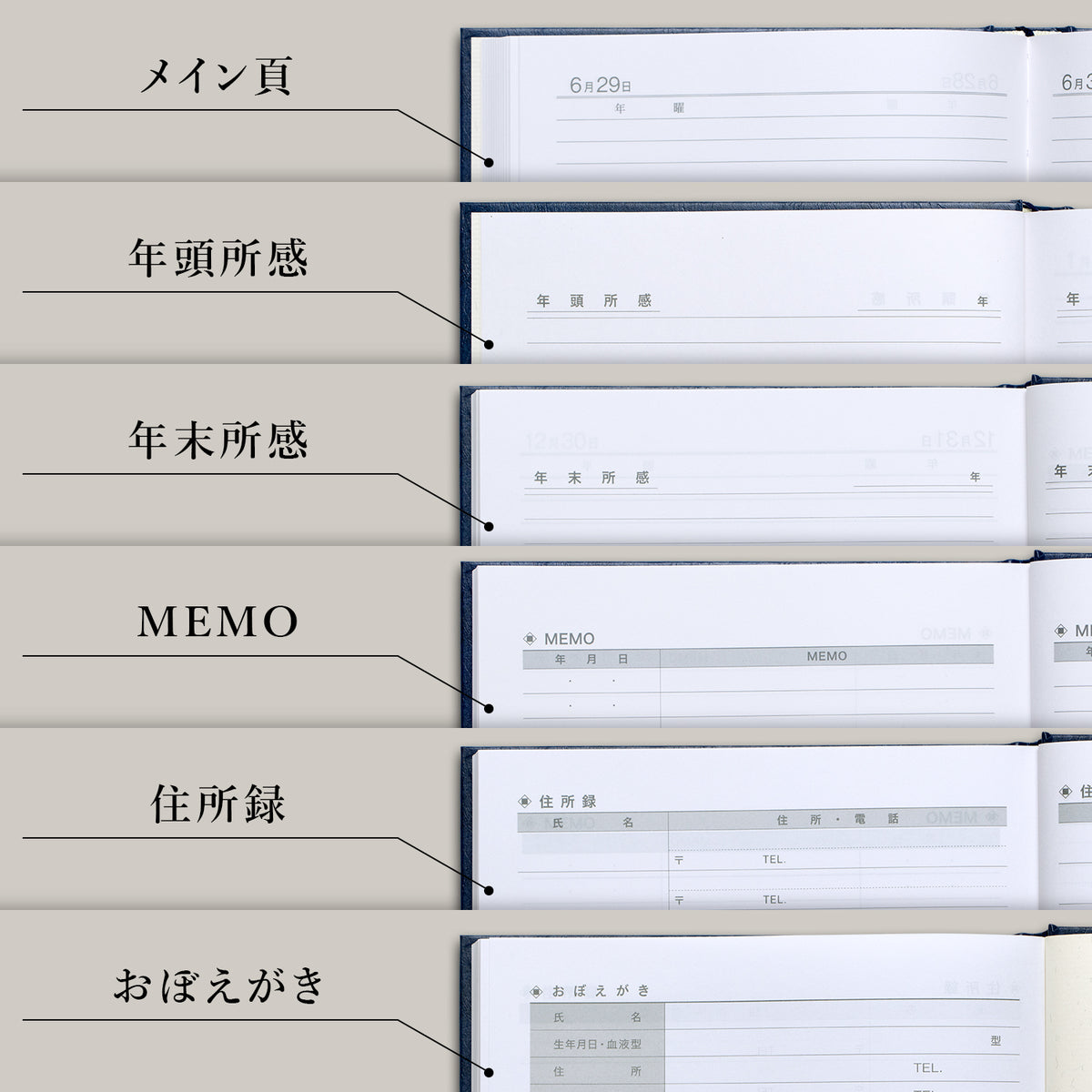 3年用日記《日付表示あり》B5 アピカ　D302 日記帳