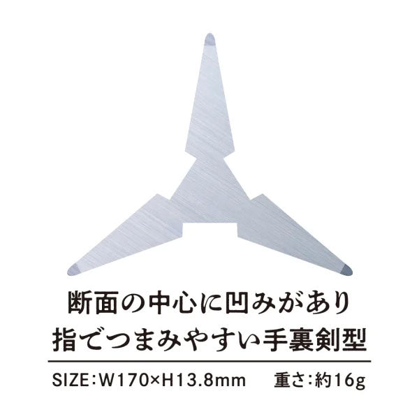 Kiwami LRオールアルミ3面定規 16cm [全1色] 共栄プラスチック ASR-16 [M便 1/17]