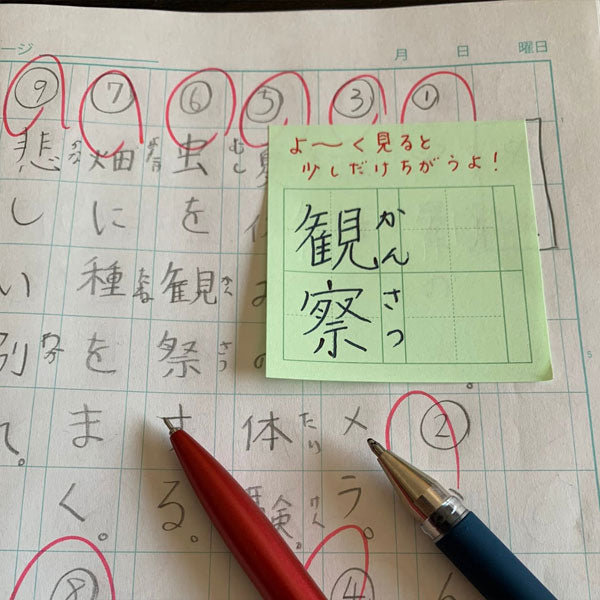 +teacher マス目フセン “Kaketa!” グリーン [50枚] MDS MFSN-02 [M便 1/16]