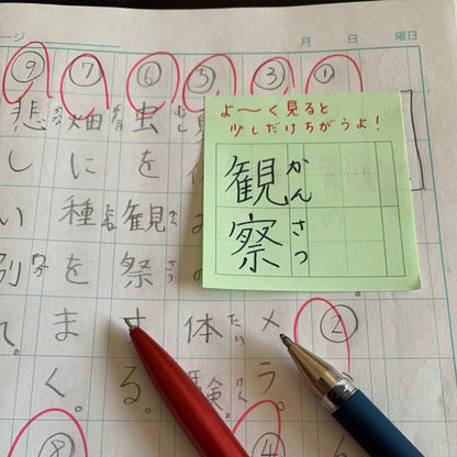 +teacher マス目フセン “Kaketa!” グリーン [50枚] MDS MFSN-02 [M便 1/16]
