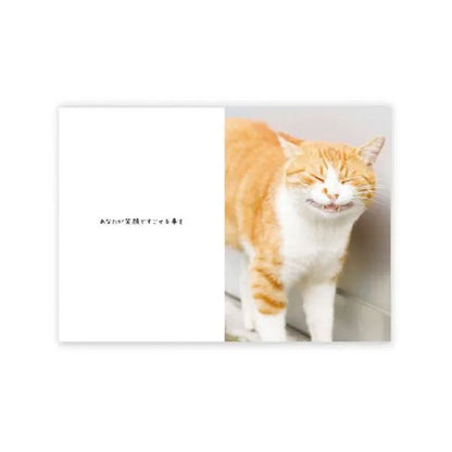 メッセージブック ハッピーにゃースデー (ねこ) 学研ステイフル B10045 [M便 1/4]