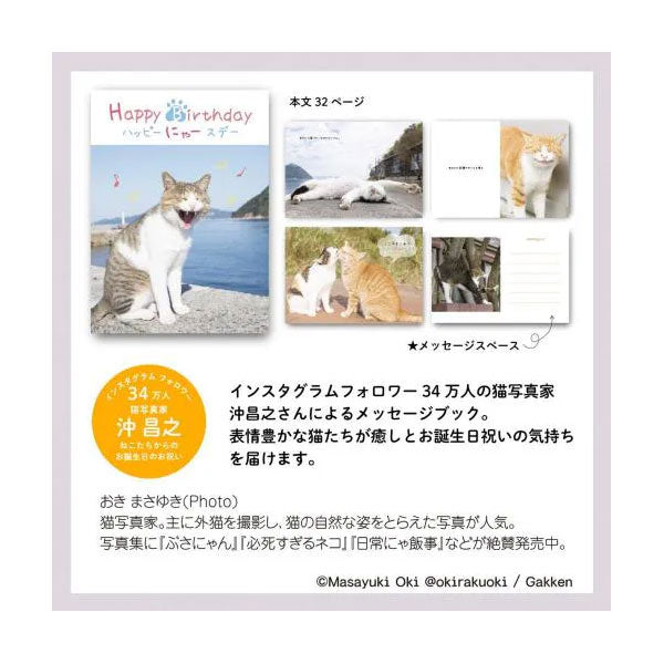 メッセージブック ハッピーにゃースデー (ねこ) 学研ステイフル B10045 [M便 1/4]