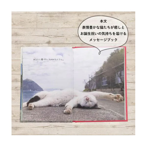 メッセージブック ハッピーにゃースデー (ねこ) 学研ステイフル B10045 [M便 1/4]