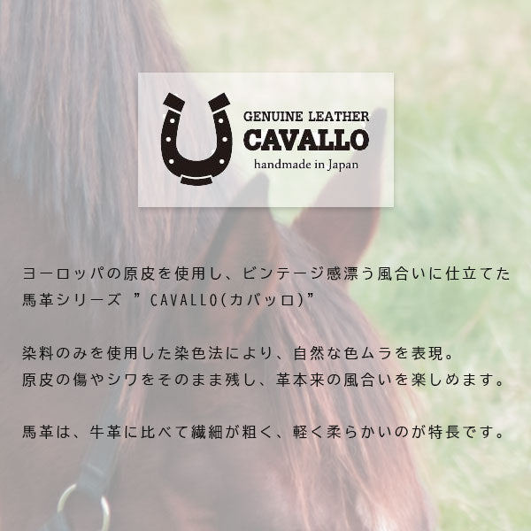 *3/11原田*≪CAVALLO≫ ホースハイド 2本差しペンシース [全3色] ガルフストリーム CAV-2PS [M便 1/3]
