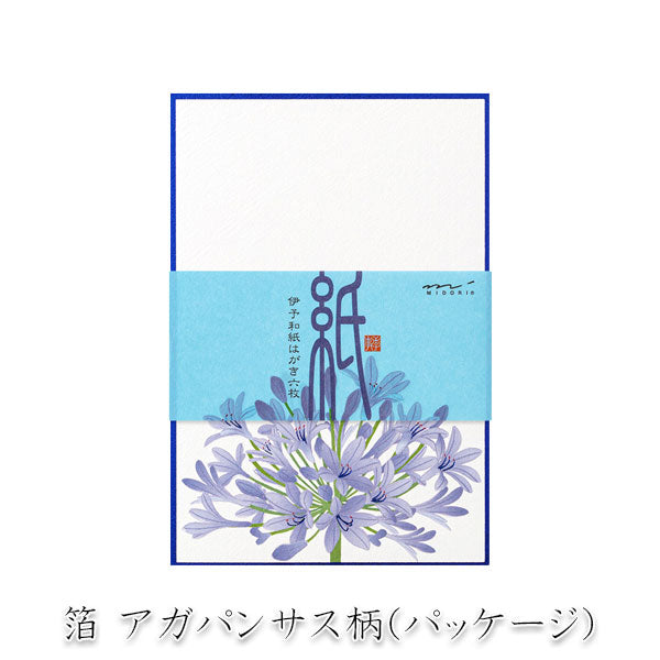 夏レター [はがき] 伊予和紙 6枚入り [全4種類] デザインフィル(ミドリ) 88732/3/4/5 ［M便 1/16］