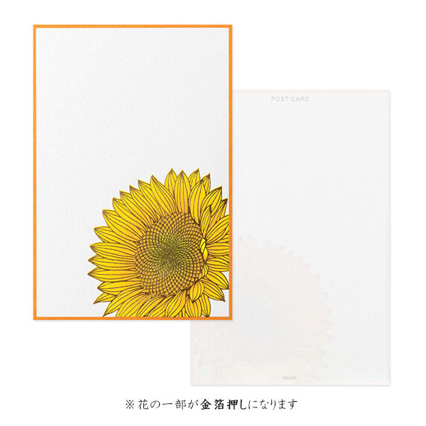夏レター [はがき] 伊予和紙 6枚入り [全4種類] デザインフィル(ミドリ) 88732/3/4/5 ［M便 1/16］