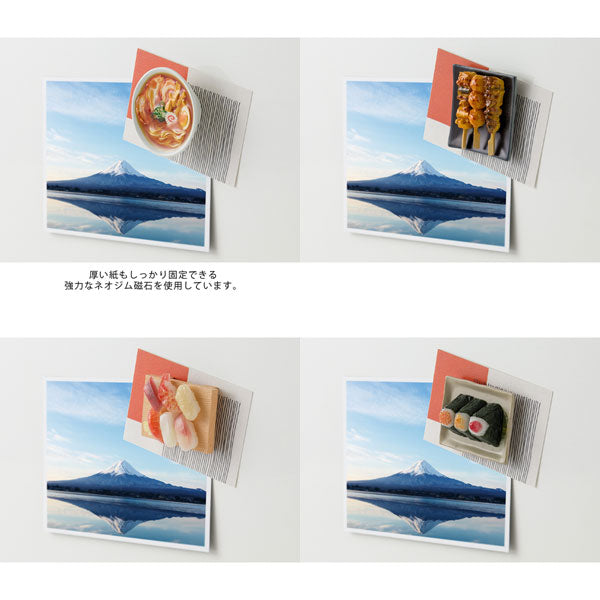 ヤーッコ・マッティラ　サイン付作品集 マグネット｜ミニチュアマグネット 1個入 さんま柄(43412006