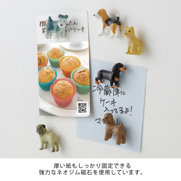 ミニマグネット 6個入 [全4種] デザインフィル(ミドリ) 43426/7