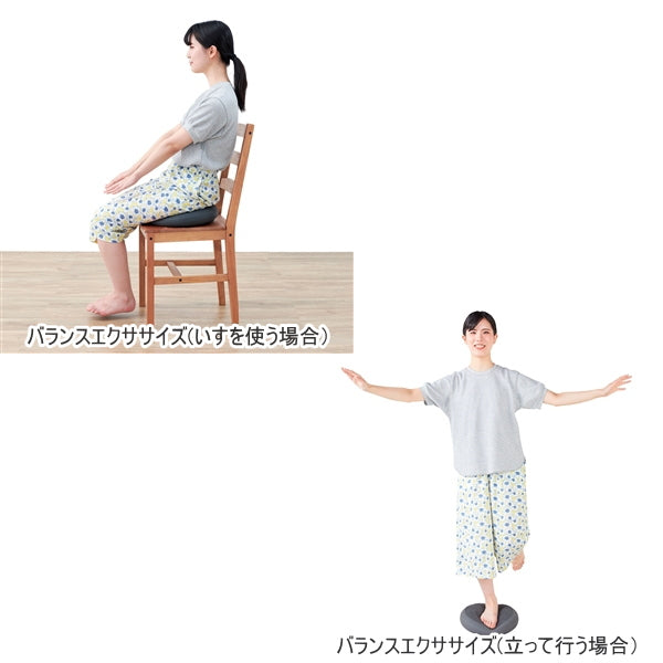 タニタサイズ バランスクッション [グレー] 保証書付き タニタ　TS959