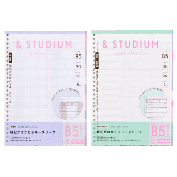 LOOSE-LEAF for self study (ルーズリーフ フォー セルフ スタディ) B5 【暗記フォーマット】 30枚入り [全2種類] いろは出版 GABL-03/4 [M便 1/5]