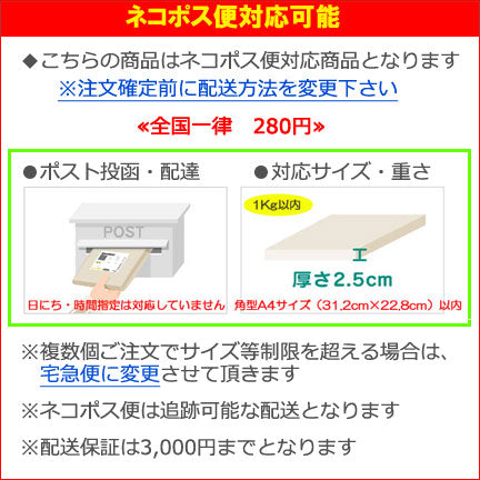 100枚レターブック　[中川政七商店]パイインターナショナル　1745-4969【2冊までネコポス可】